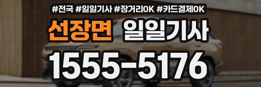 선장면 일일기사
