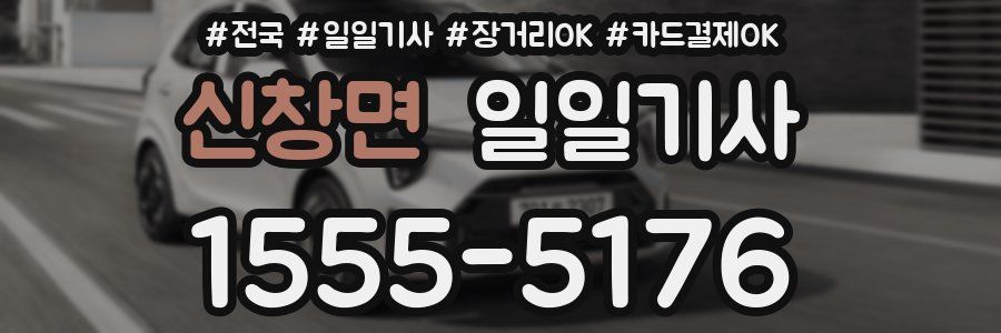 신창면 일일기사