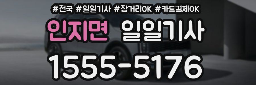 인지면 일일기사