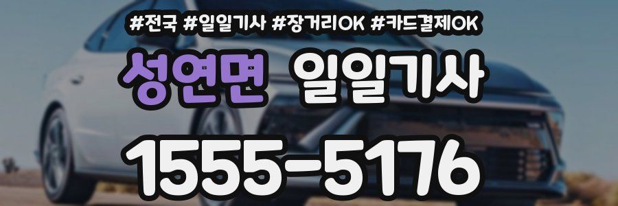 성연면 일일기사