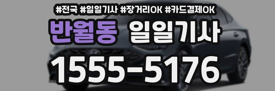 반월동 일일기사
