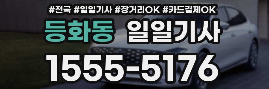 등화동 일일기사