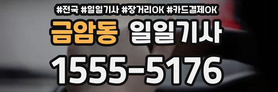 금암동 일일기사