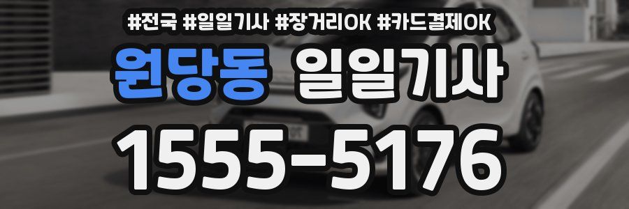원당동 일일기사