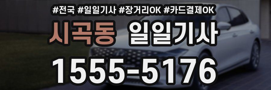 시곡동 일일기사