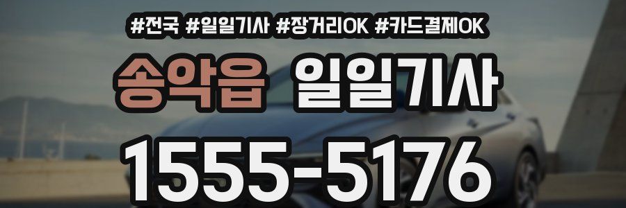 송악읍 일일기사