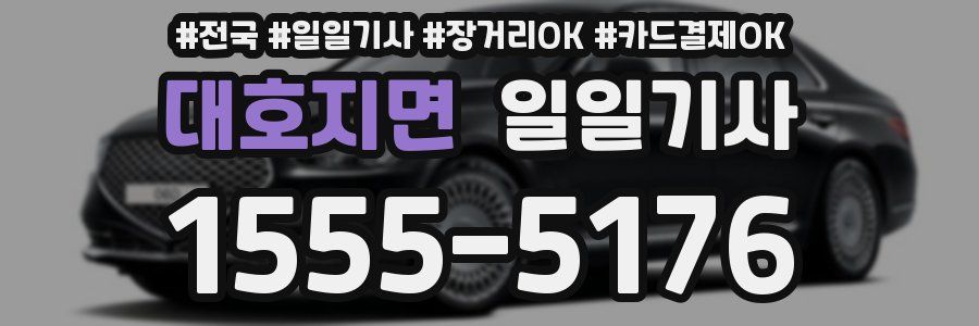 대호지면 일일기사