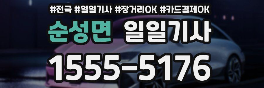 순성면 일일기사