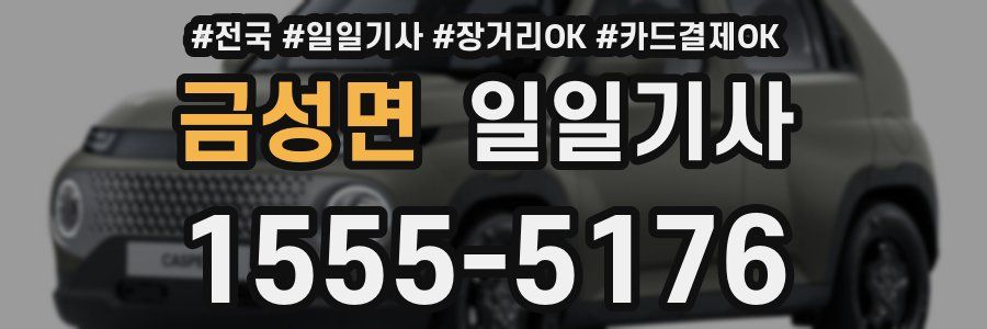 금성면 일일기사