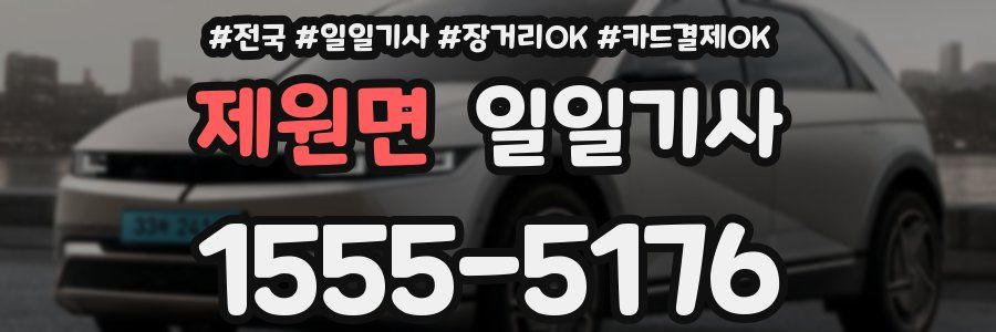 제원면 일일기사