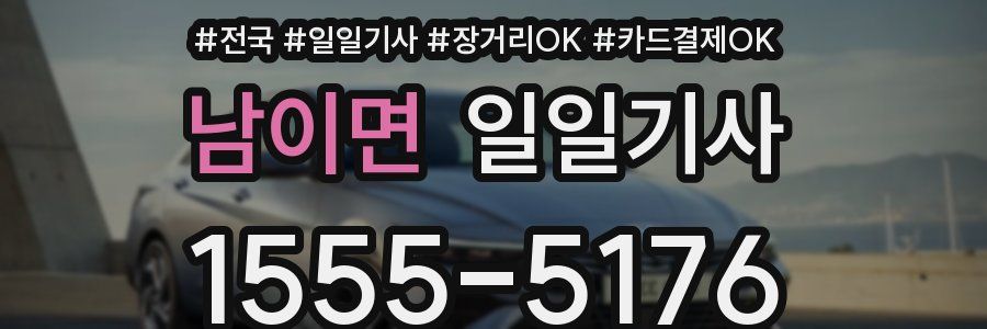 남이면 일일기사