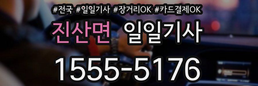 진산면 일일기사