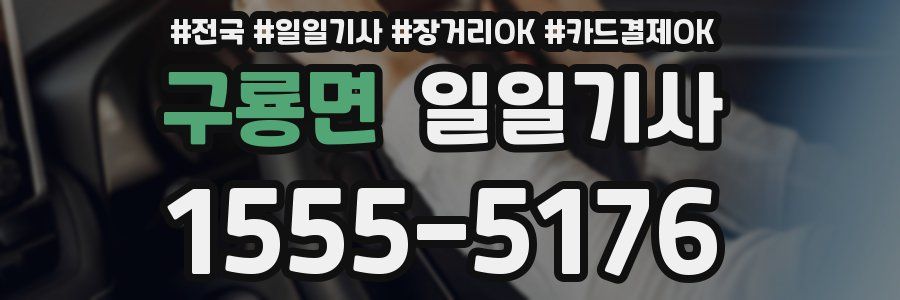 구룡면 일일기사