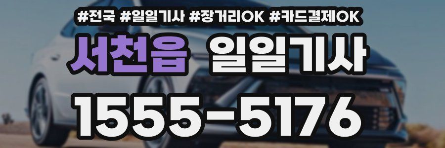 서천읍 일일기사