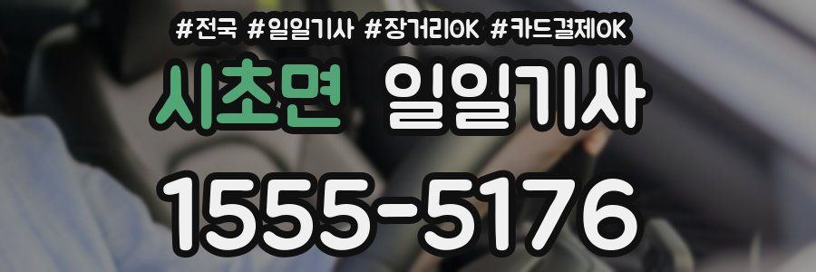 시초면 일일기사