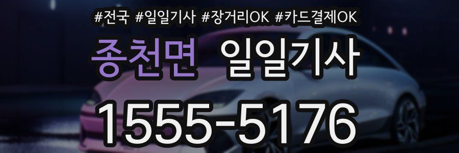 종천면 일일기사