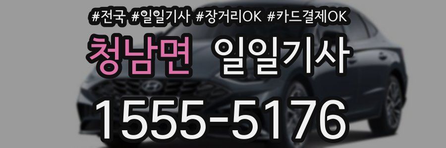 청남면 일일기사