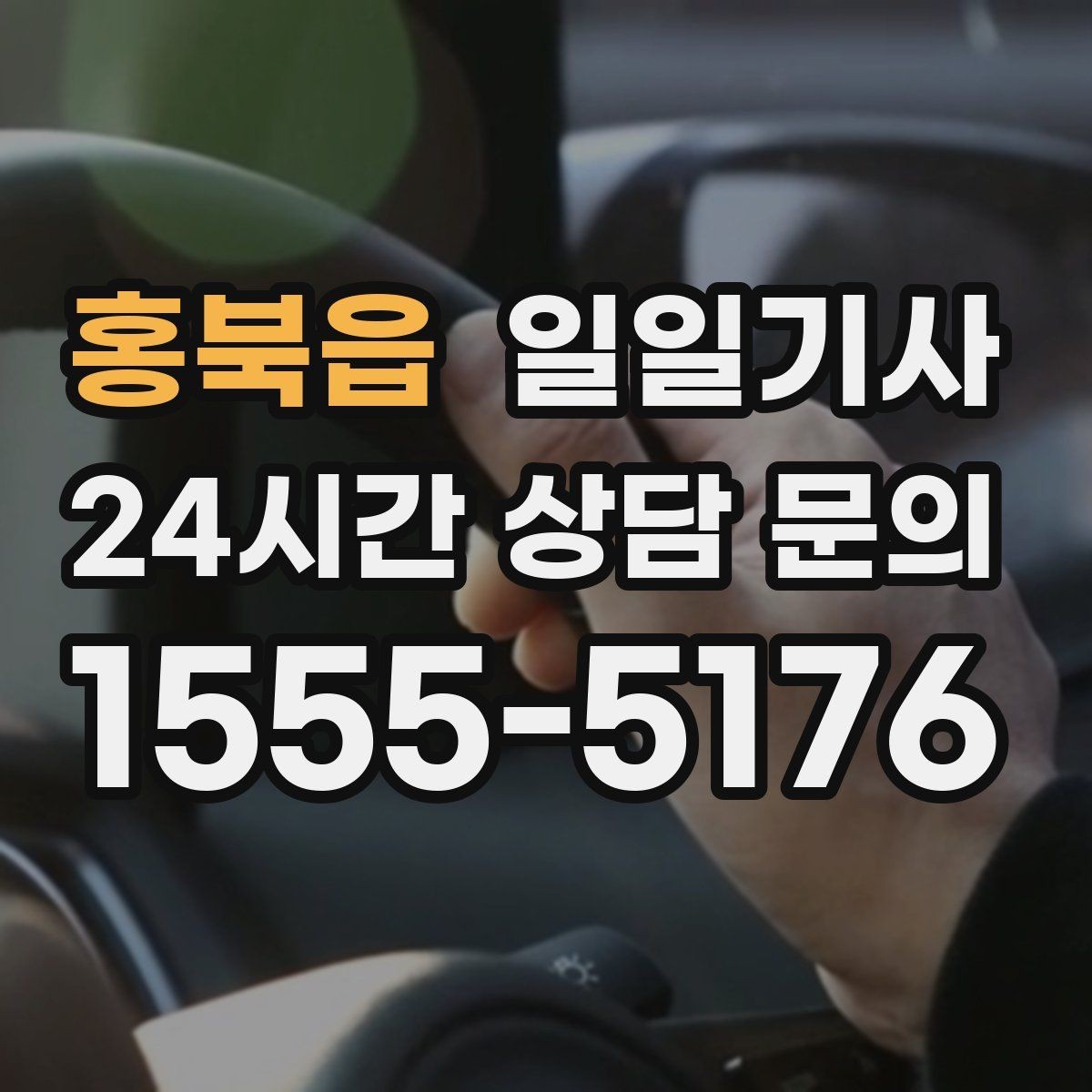 홍북읍 일일기사 예의 바른 승하차 지원