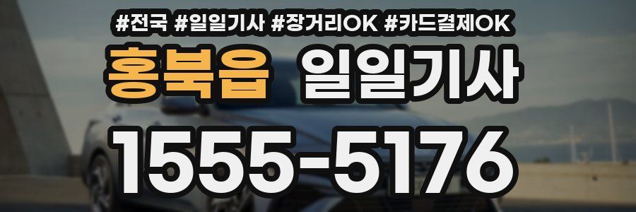 홍북읍 일일기사