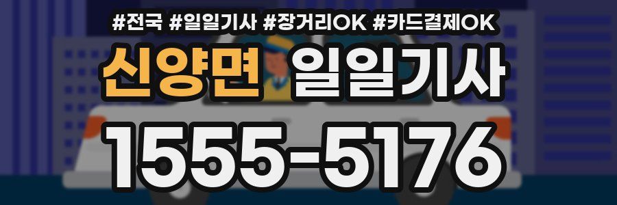 신양면 일일기사