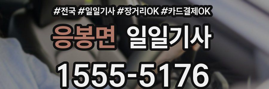 응봉면 일일기사