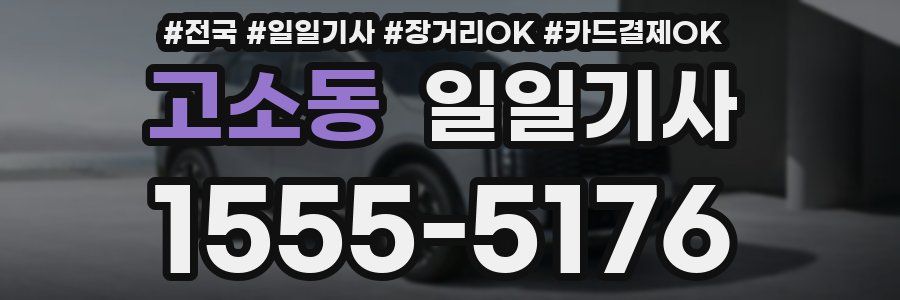 고소동 일일기사