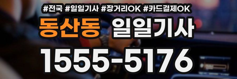 동산동 일일기사