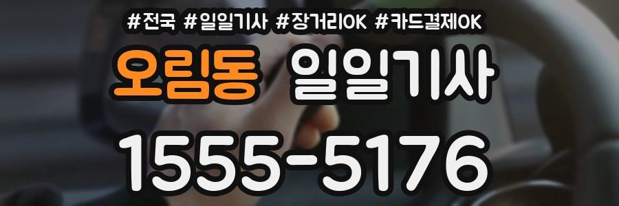 오림동 일일기사