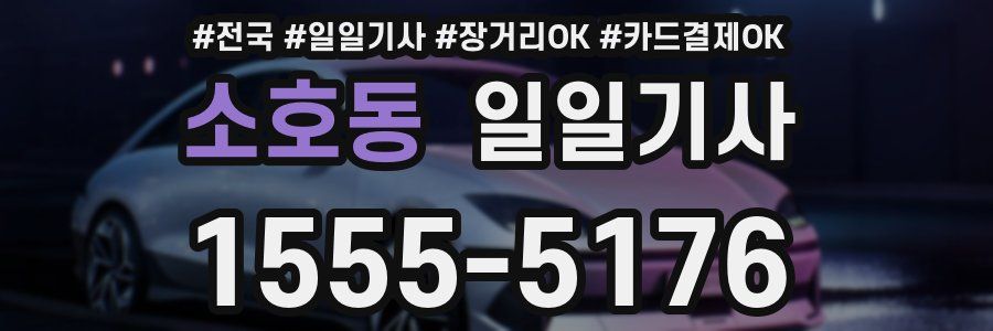 소호동 일일기사