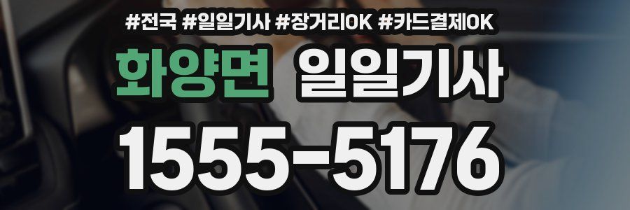 화양면 일일기사