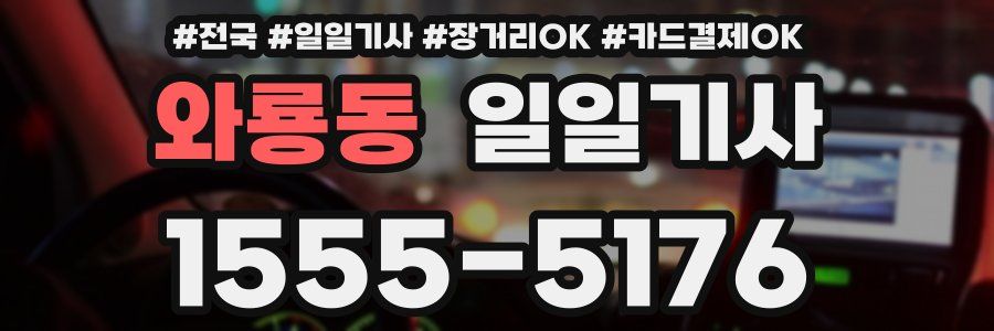 와룡동 일일기사