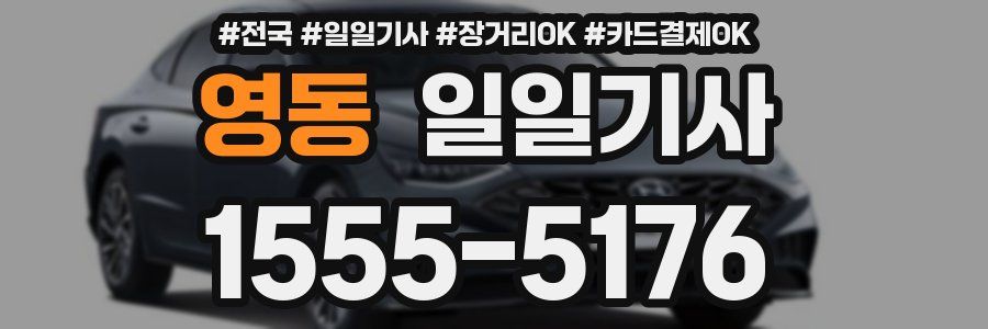 영동 일일기사