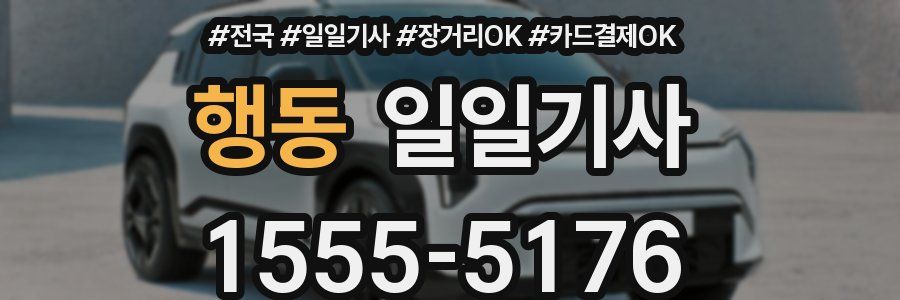 행동 일일기사