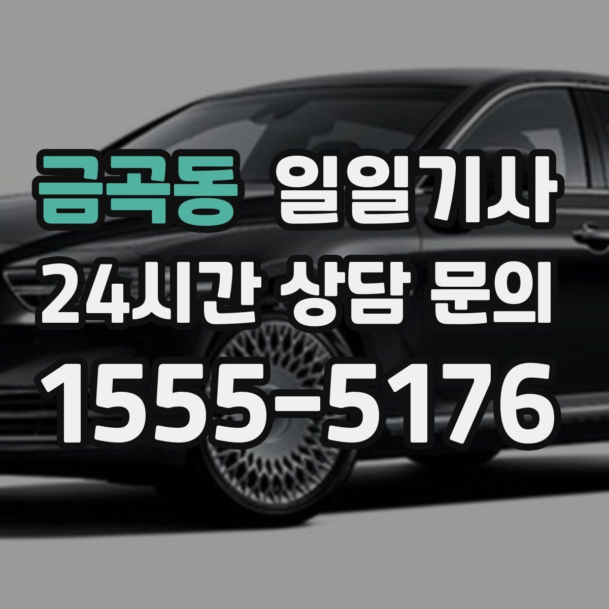 금곡동 일일기사 비용 변동 요인 사전 고지