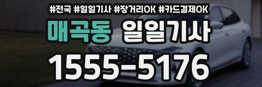 매곡동 일일기사