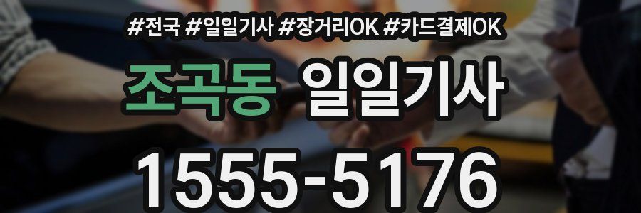 조곡동 일일기사