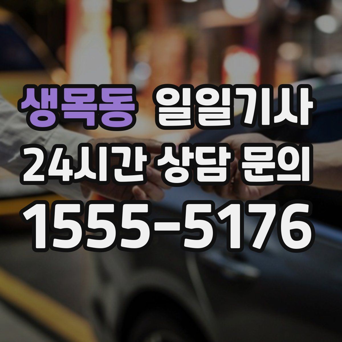 생목동 일일기사 반일 동행으로 여유를 더하는 날
