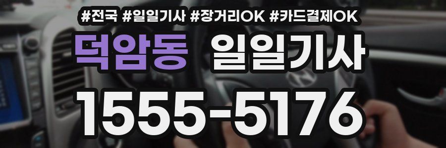 덕암동 일일기사