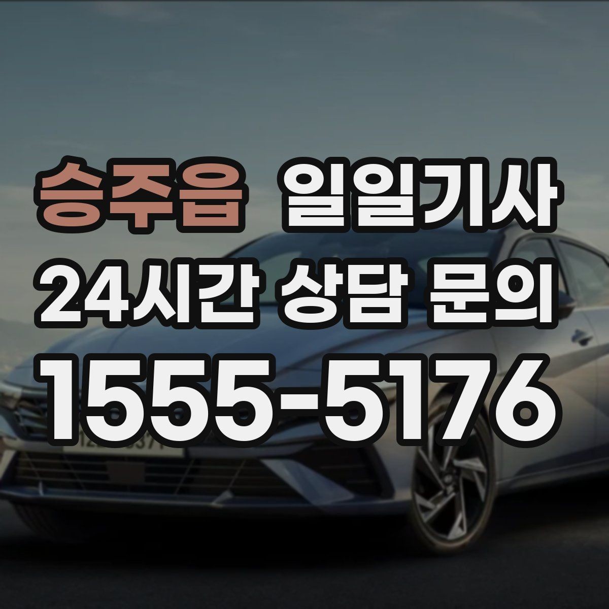 승주읍 일일기사 내비 의존 넘어선 현장 감각