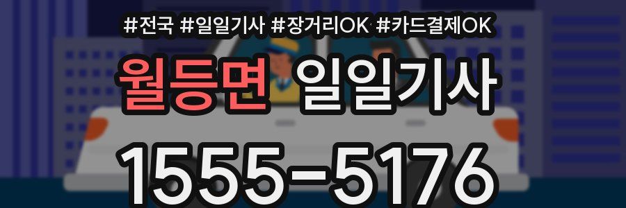 월등면 일일기사