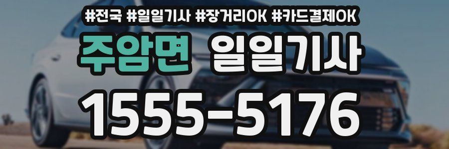 주암면 일일기사