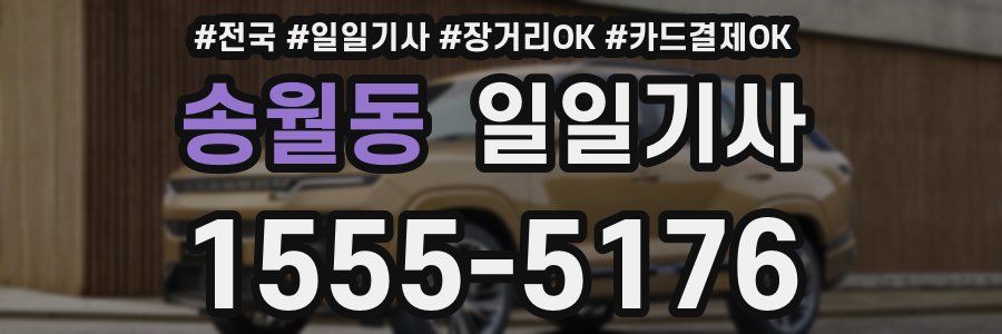 송월동 일일기사