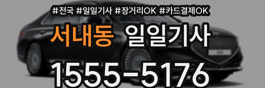 서내동 일일기사