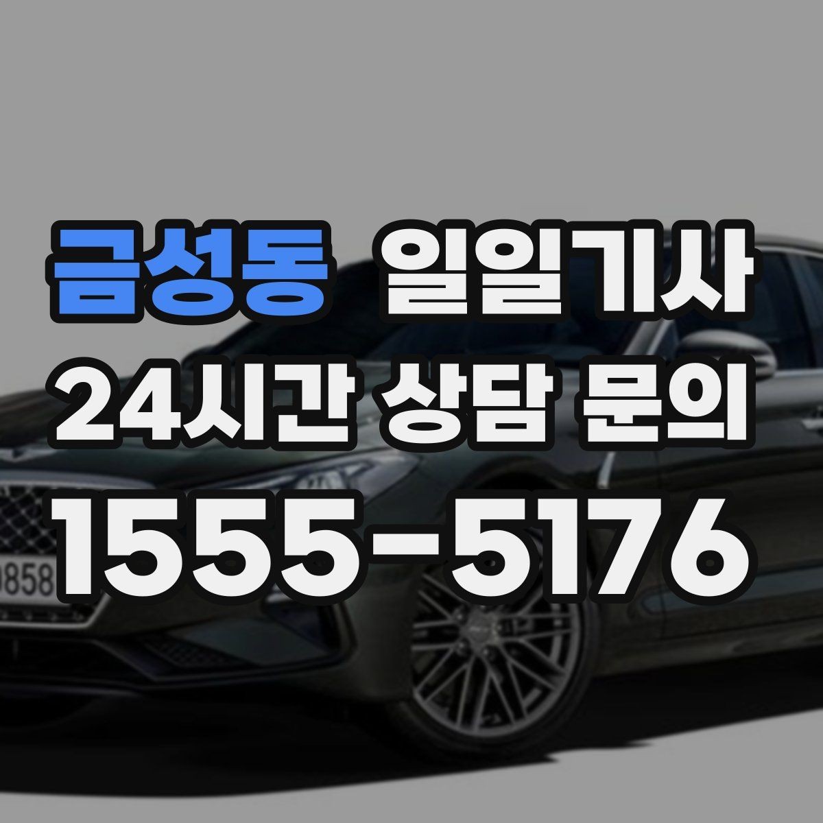 금성동 일일기사 도심 다중 경유 깔끔하게 완료
