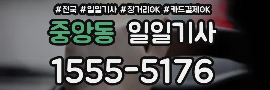 중앙동 일일기사