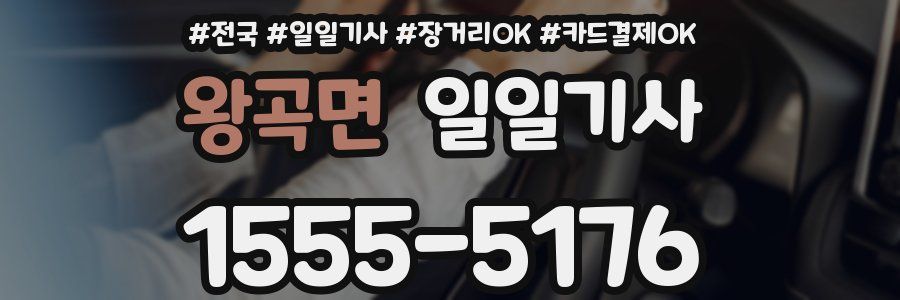 왕곡면 일일기사