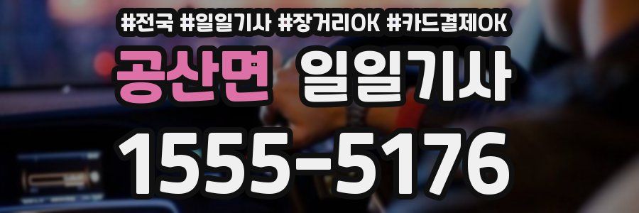 공산면 일일기사