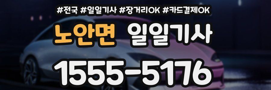 노안면 일일기사