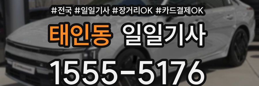 태인동 일일기사