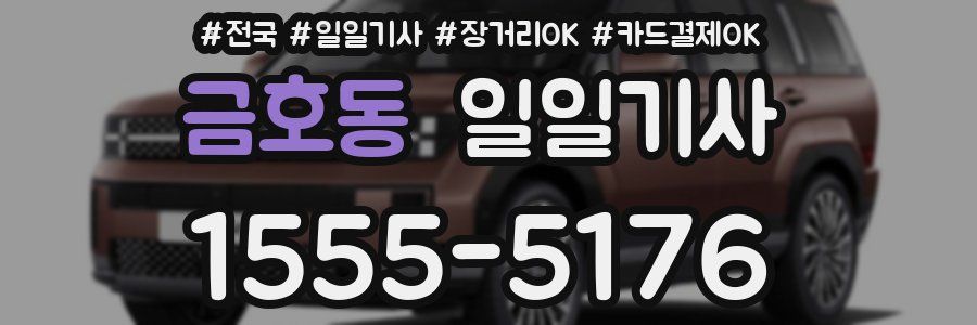 금호동 일일기사